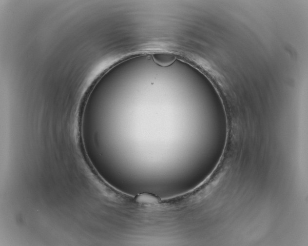 X0000112081469200908111444