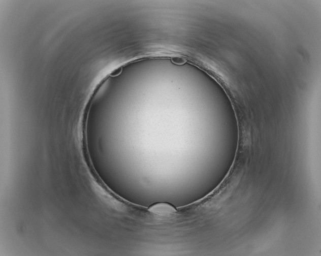 X0000112081471200908111444
