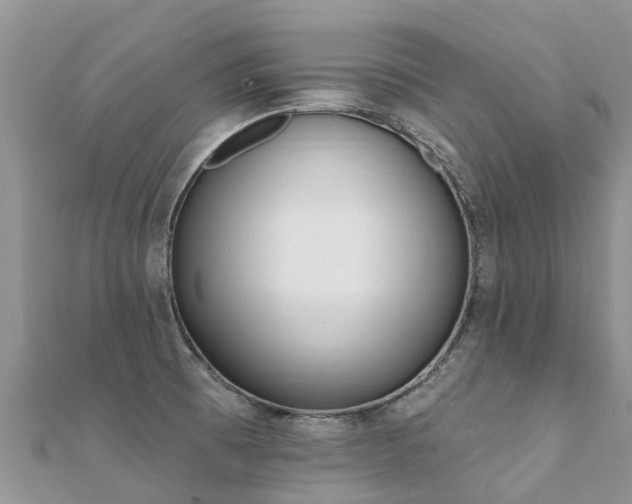 X0000112081473200908111444