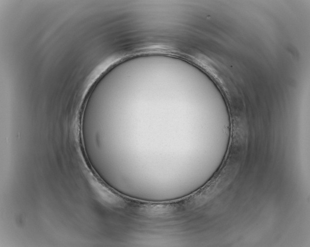 X0000112081474200908111444