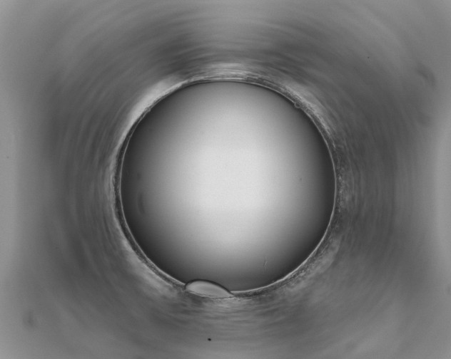 X0000112081475200908111444