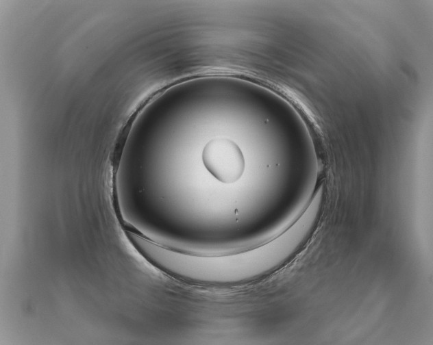 X0000112081476200908111444