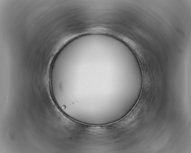 X0000112081478200908111444