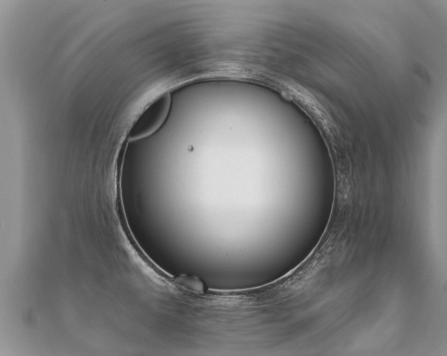 X0000112081479200908111444