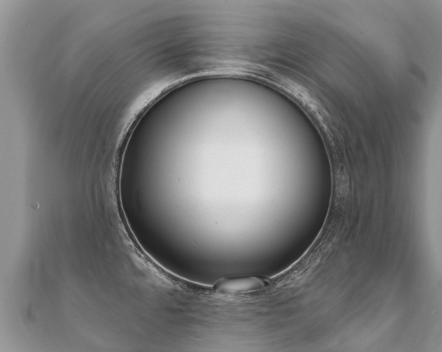 X0000112081480200908111444