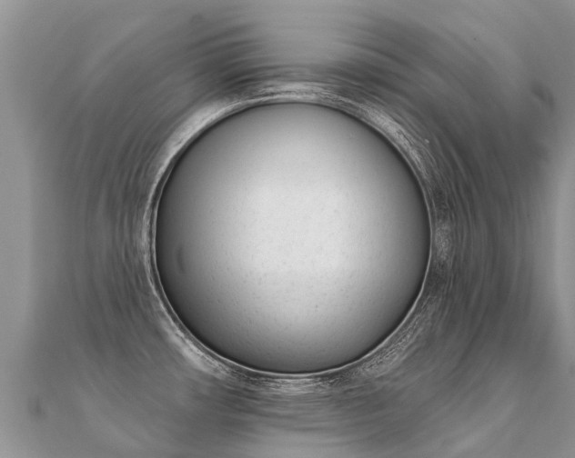 X0000112081482200908111444