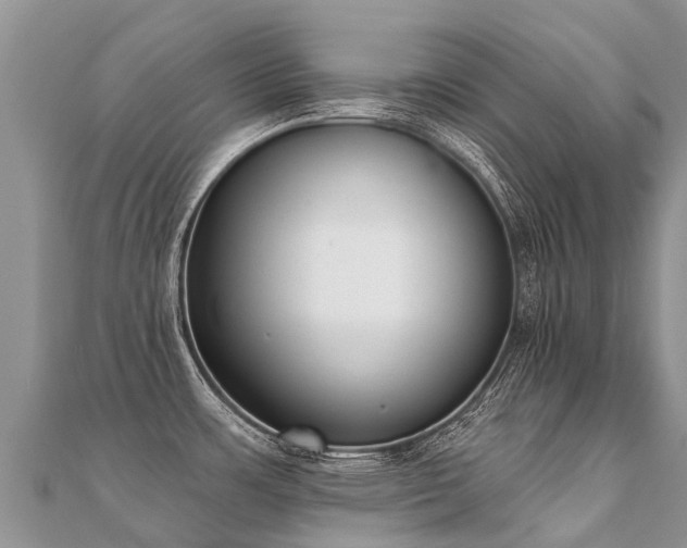 X0000112081483200908111444