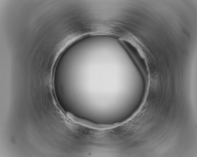 X0000112081485200908111444