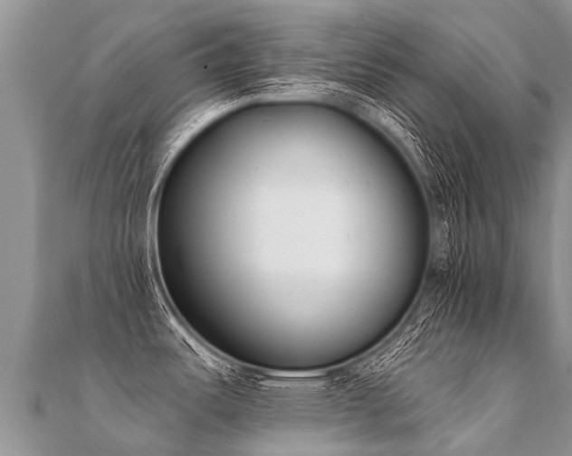 X0000112081487200908111444