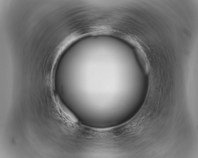 X0000112081488200908111444
