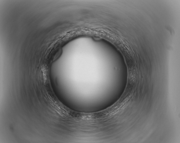 X0000112081490200908111443