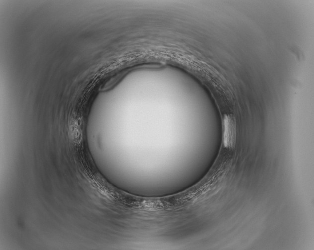 X0000112081491200908111443