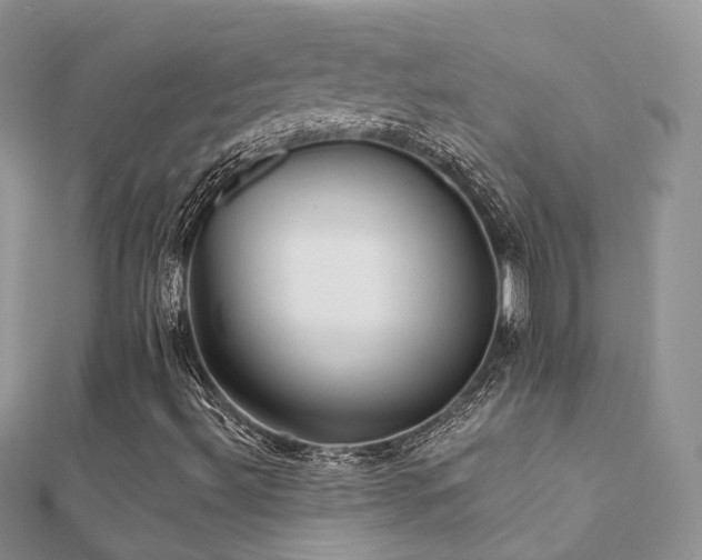 X0000112081492200908111443