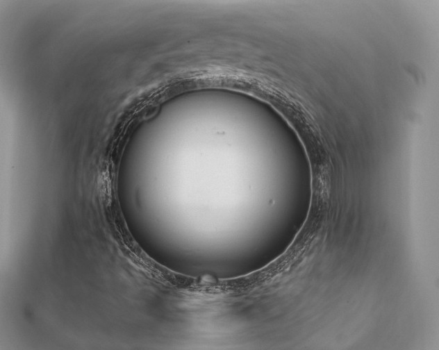 X0000112081493200908111443