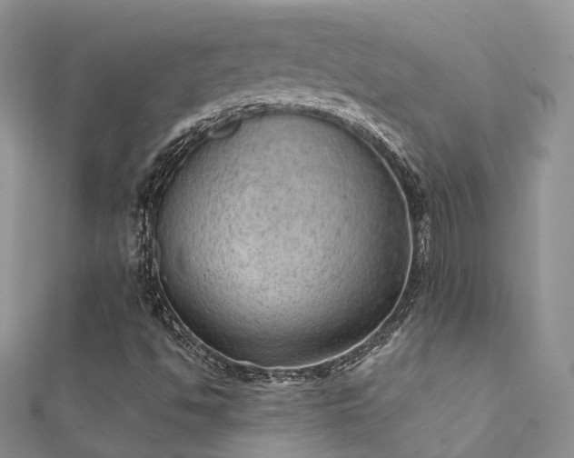 X0000112081494200908111443