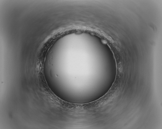 X0000112081495200908111443