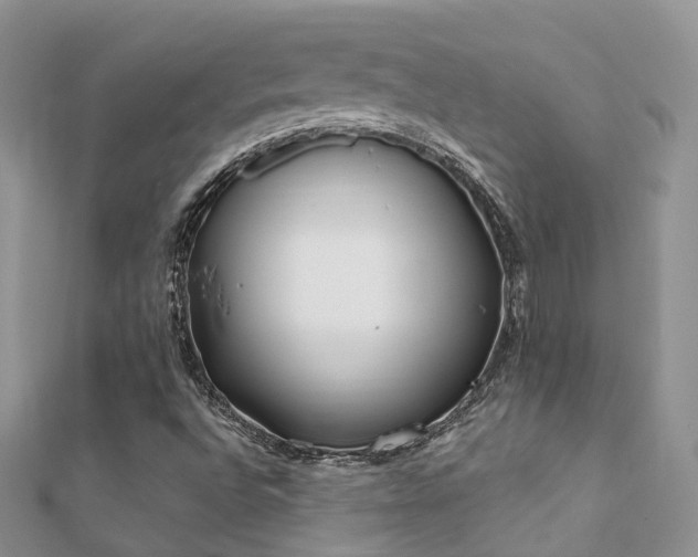 X0000112081496200908111443