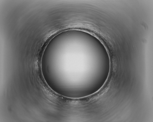 X0000112081497200908111443