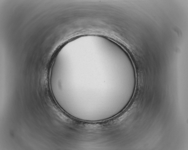 X0000112081498200908111443