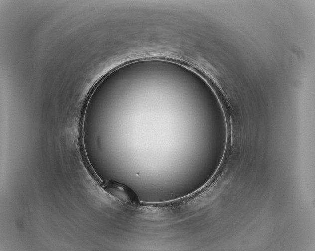 X0000112081500200908111443