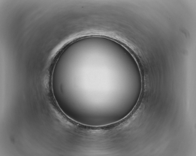 X0000112081502200908111443