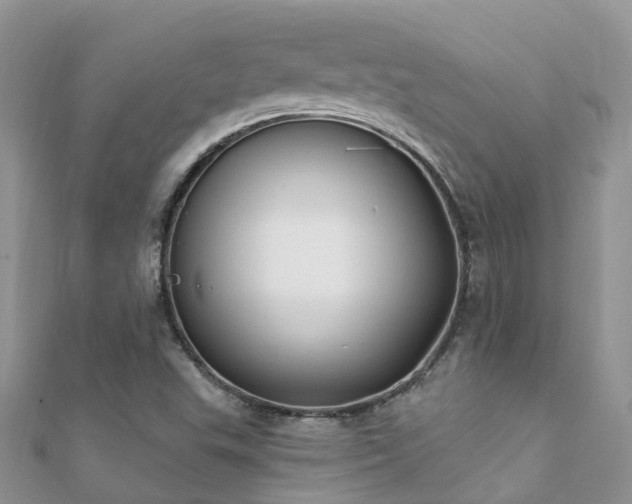 X0000112081503200908111443