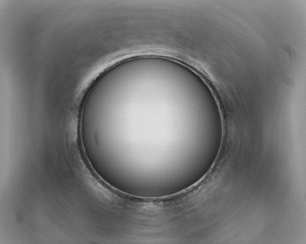 X0000112081504200908111443