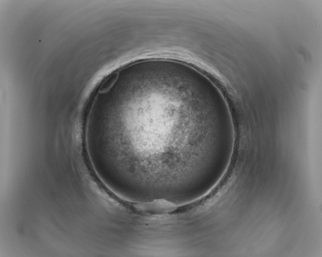 X0000112081506200908111444