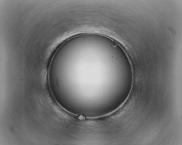 X0000112081507200908111444
