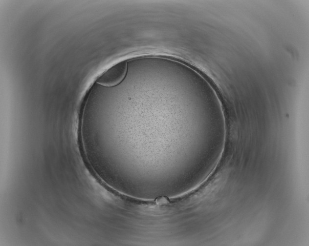 X0000112081508200908111444