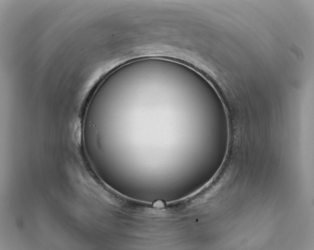 X0000112081509200908111444