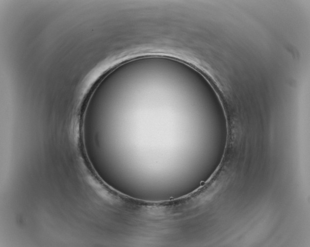 X0000112081511200908111444