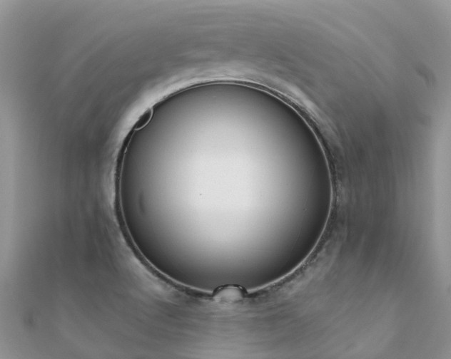 X0000112081512200908111444