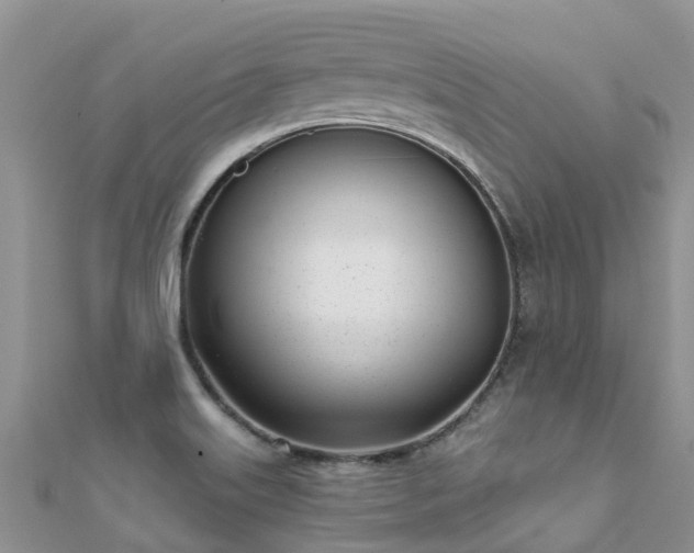 X0000112081515200908111444