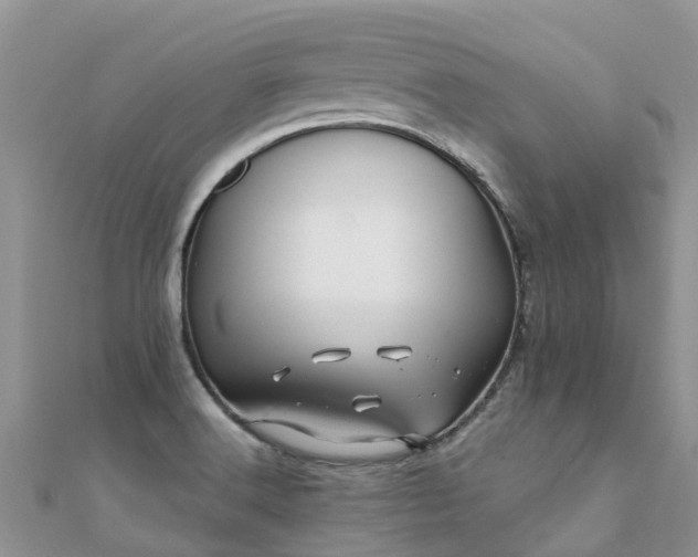 X0000112081516200908111444