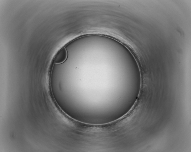 X0000112081517200908111444