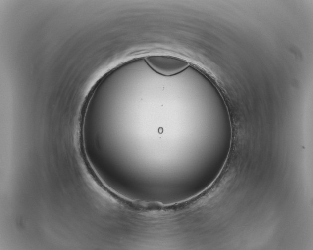 X0000112081518200908111444