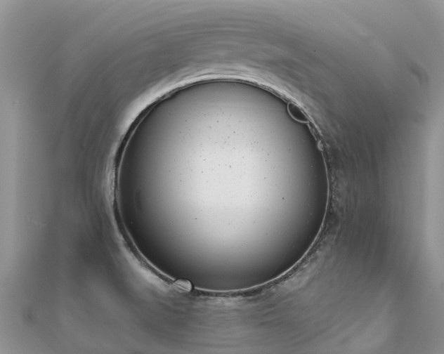 X0000112081519200908111444