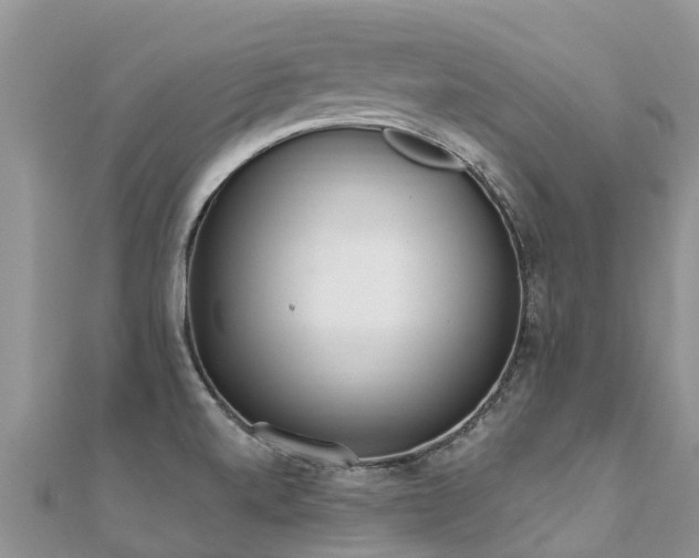 X0000112081520200908111444
