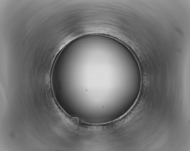 X0000112081521200908111444