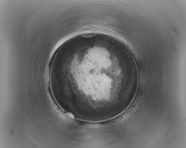 X0000112081522200908111444
