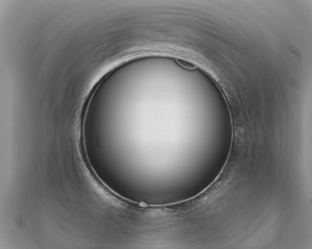 X0000112081523200908111444