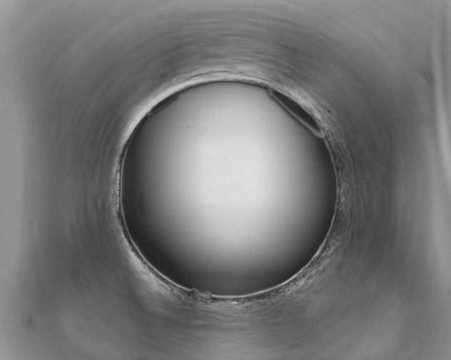 X0000112081524200908111444