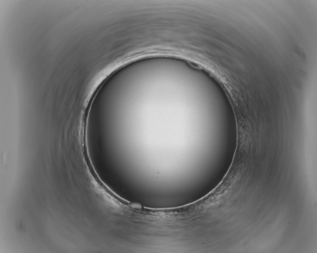 X0000112081527200908111444