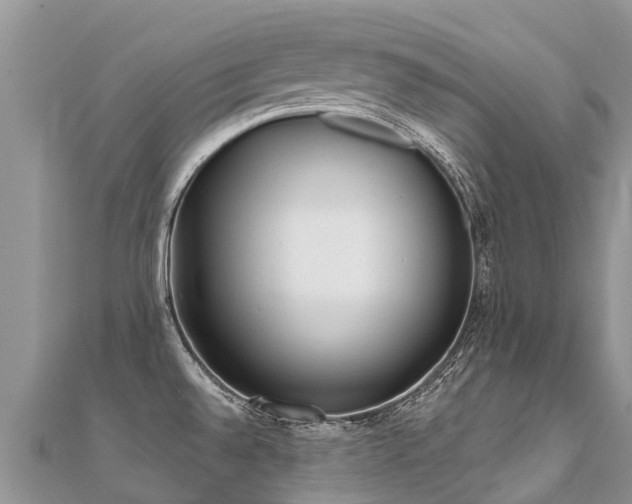 X0000112081528200908111444