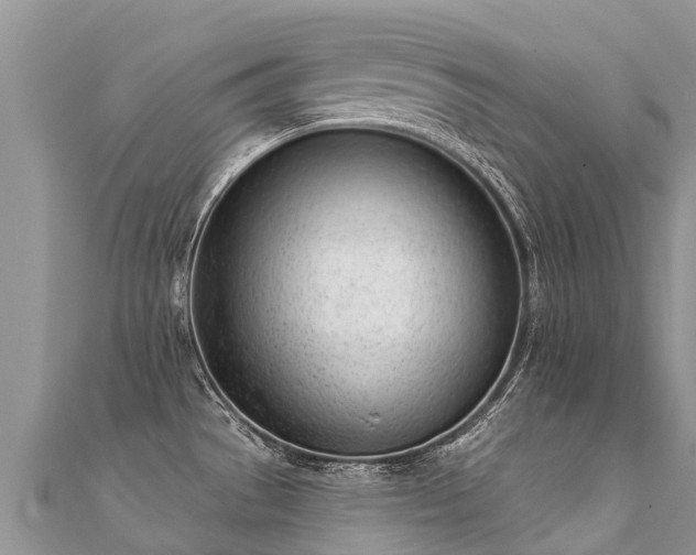 X0000112081529200908111444