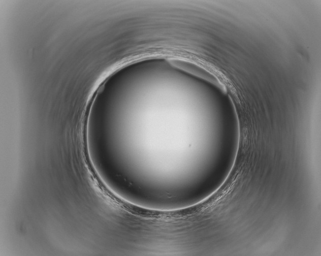 X0000112081530200908111444