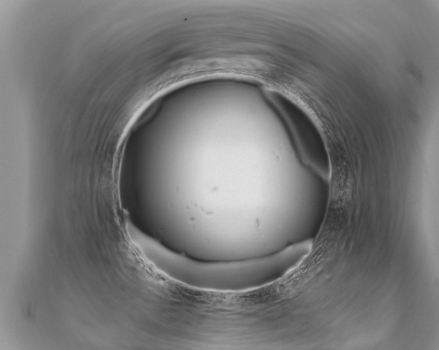X0000112081532200908111444