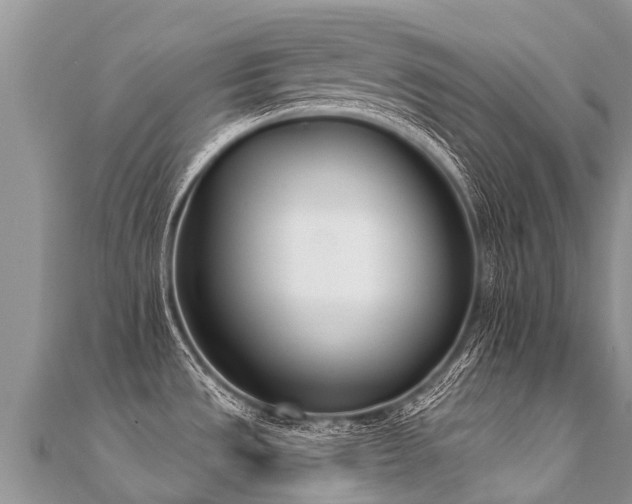 X0000112081533200908111444