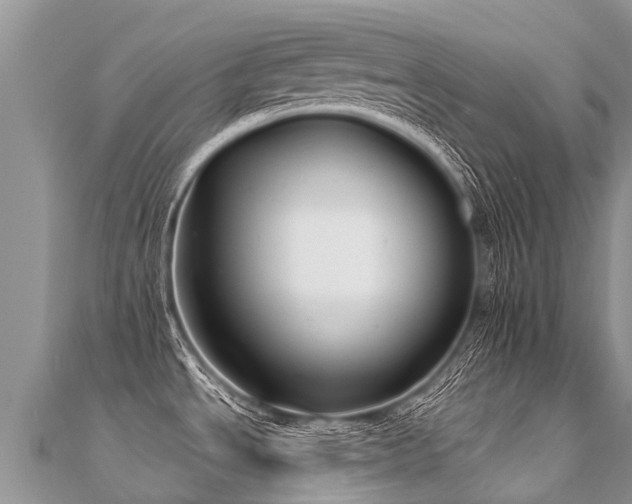 X0000112081534200908111444